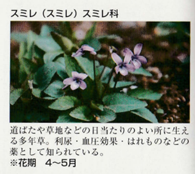 万葉集の世界に飛び込もう―万葉歌碑を訪ねて（その2358