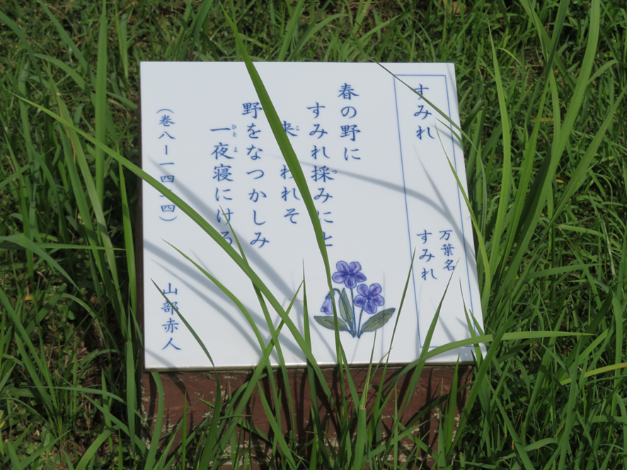 万葉集の世界に飛び込もう―万葉歌碑を訪ねて（その2358