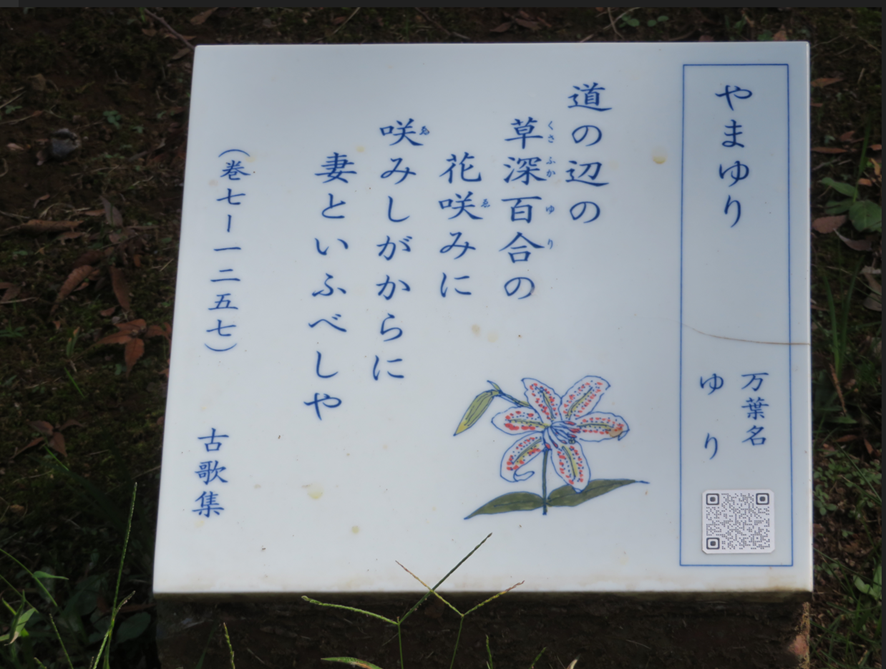 花　万葉集 978-4-86152-243-7_003-1-1-