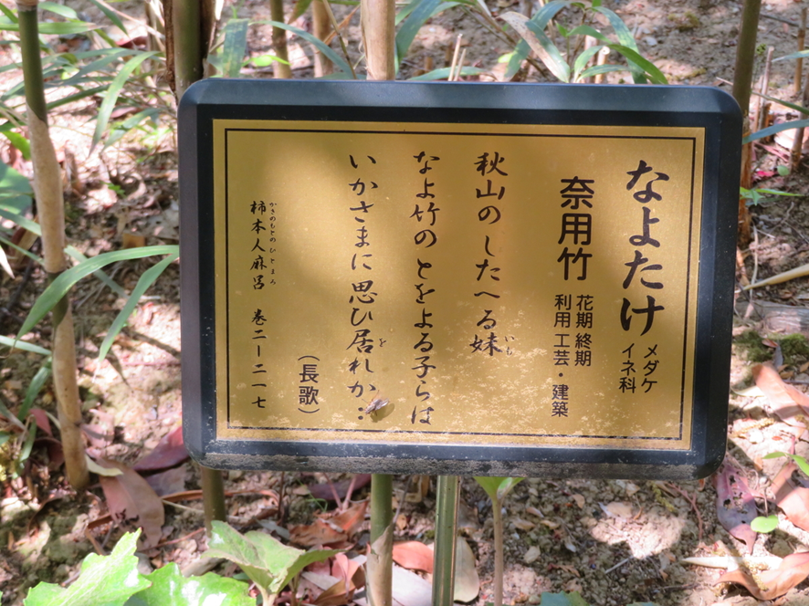 万葉集の世界に飛び込もう（その2577）―書籍掲載歌を中軸に