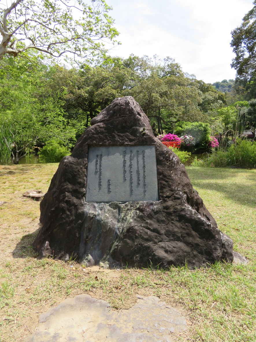 花　万葉集 万葉集その四百八十一(紫陽花いろいろ) : 万葉集遊楽