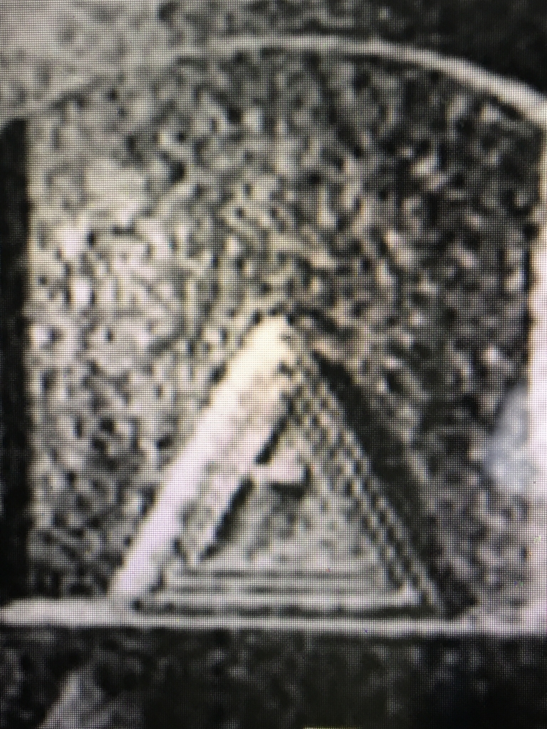 f:id:tomaatlas:20180608060939j:plain