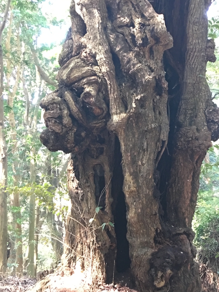 f:id:tomaatlas:20180926162951j:plain