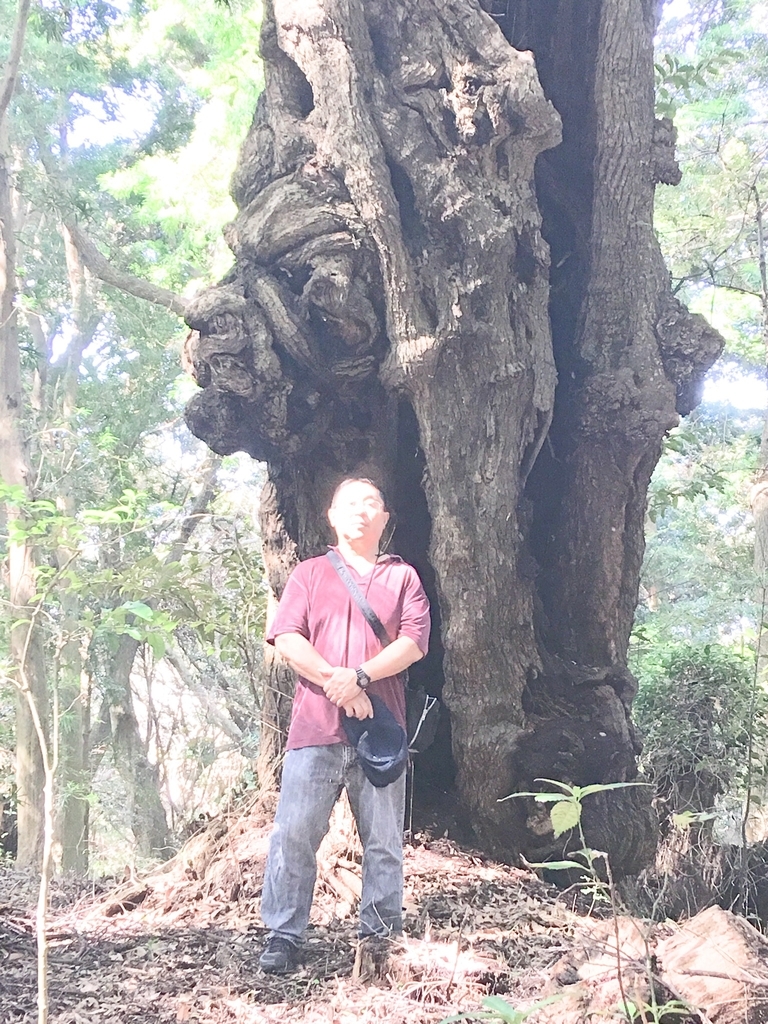 f:id:tomaatlas:20180926163012j:plain