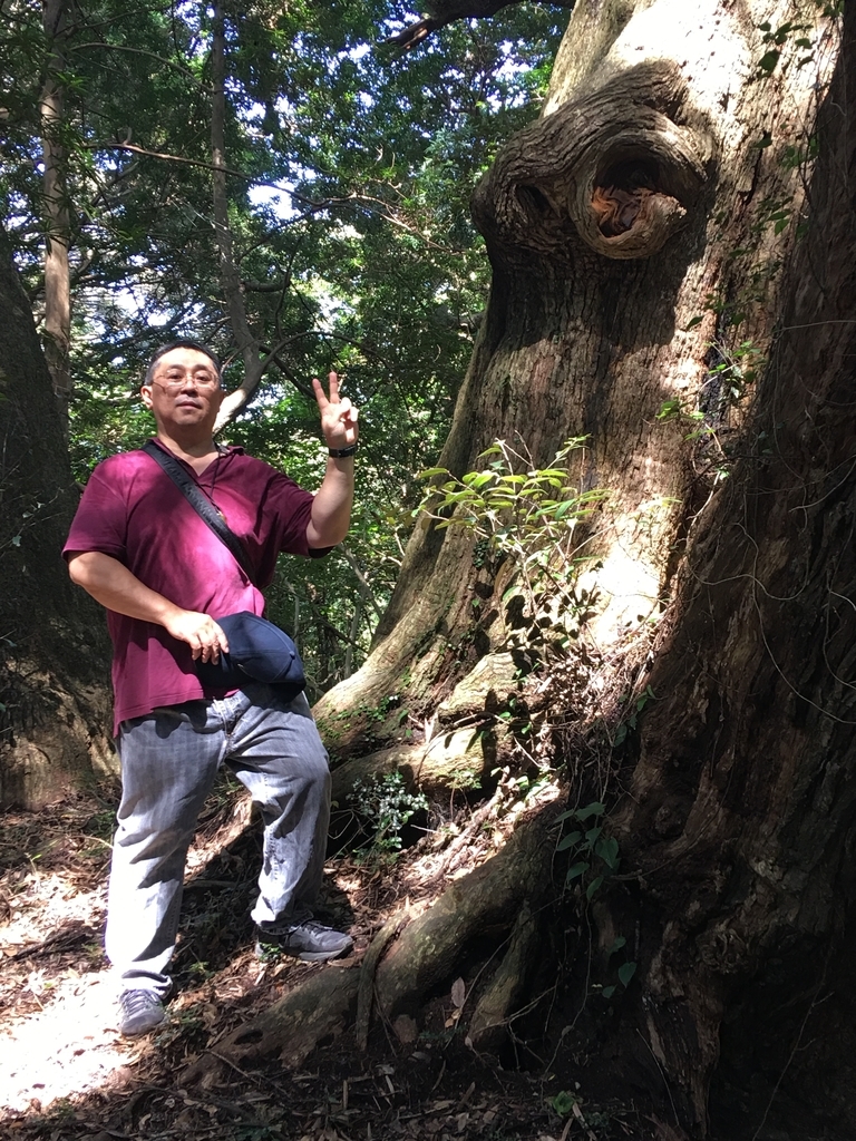 f:id:tomaatlas:20180926163119j:plain