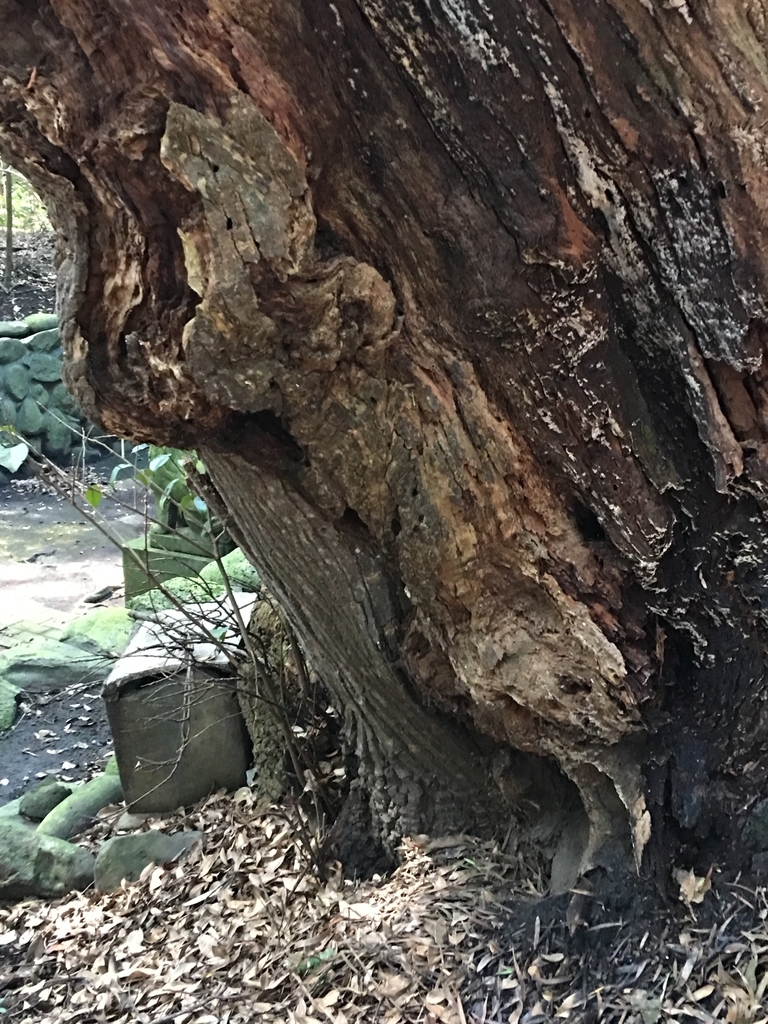 f:id:tomaatlas:20180926163427j:plain