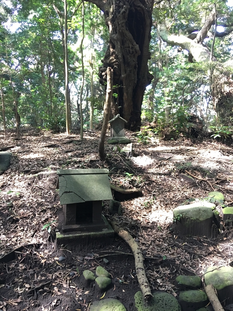 f:id:tomaatlas:20180926163450j:plain