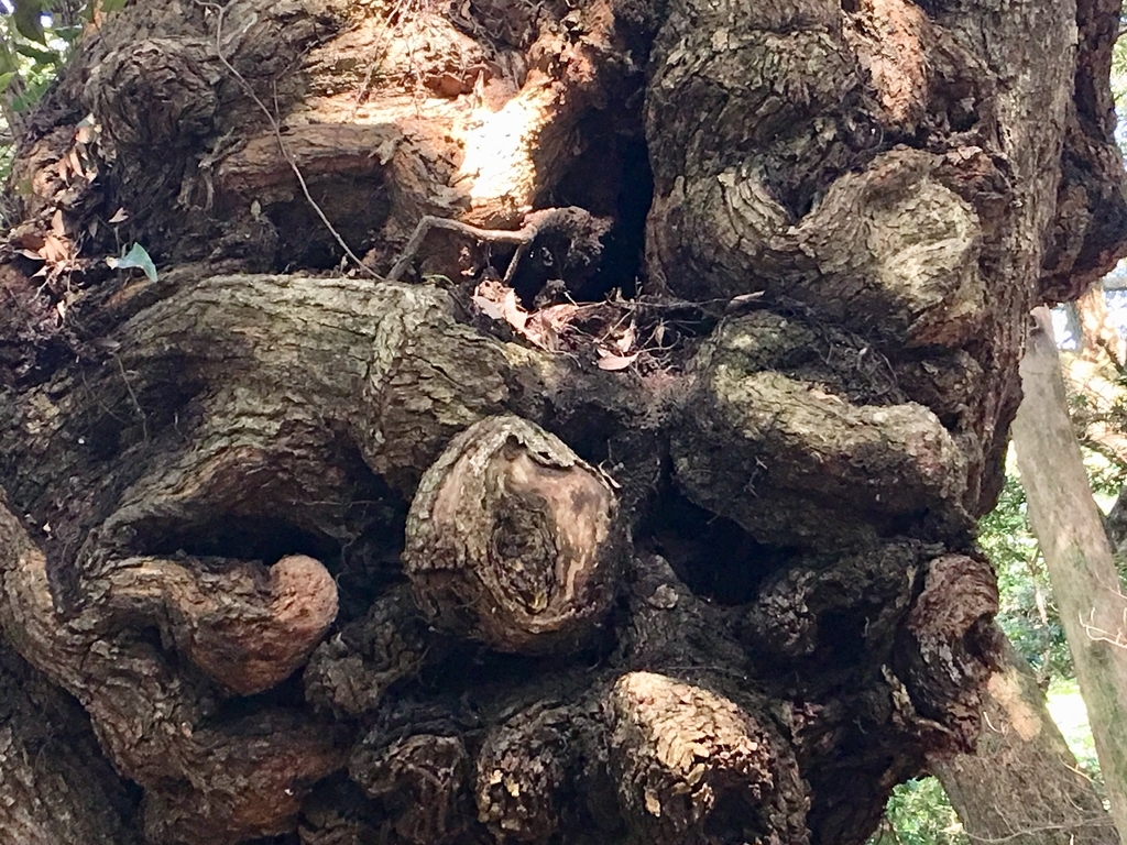 f:id:tomaatlas:20180926163558j:plain