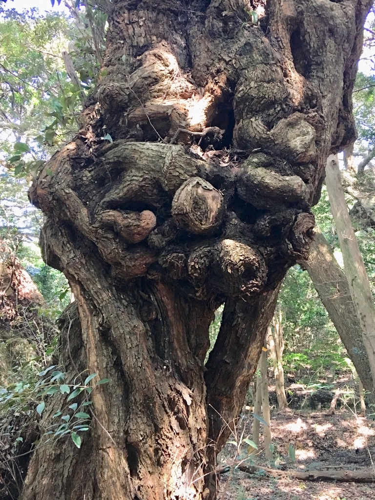 f:id:tomaatlas:20180926163620j:plain