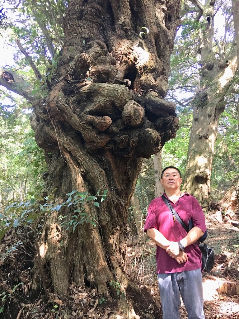 f:id:tomaatlas:20180926163706j:plain