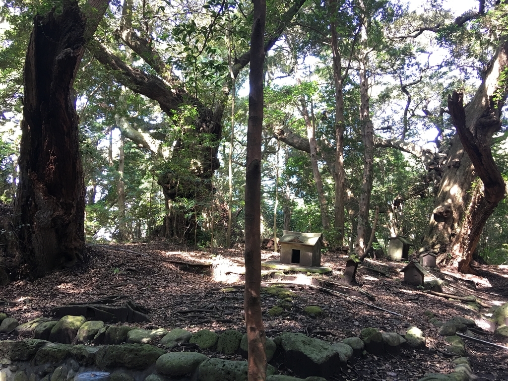 f:id:tomaatlas:20180926163725j:plain