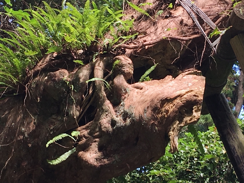 f:id:tomaatlas:20180926164102j:plain