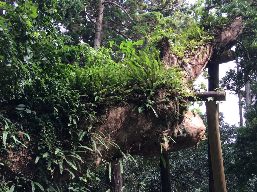 f:id:tomaatlas:20180926164122j:plain