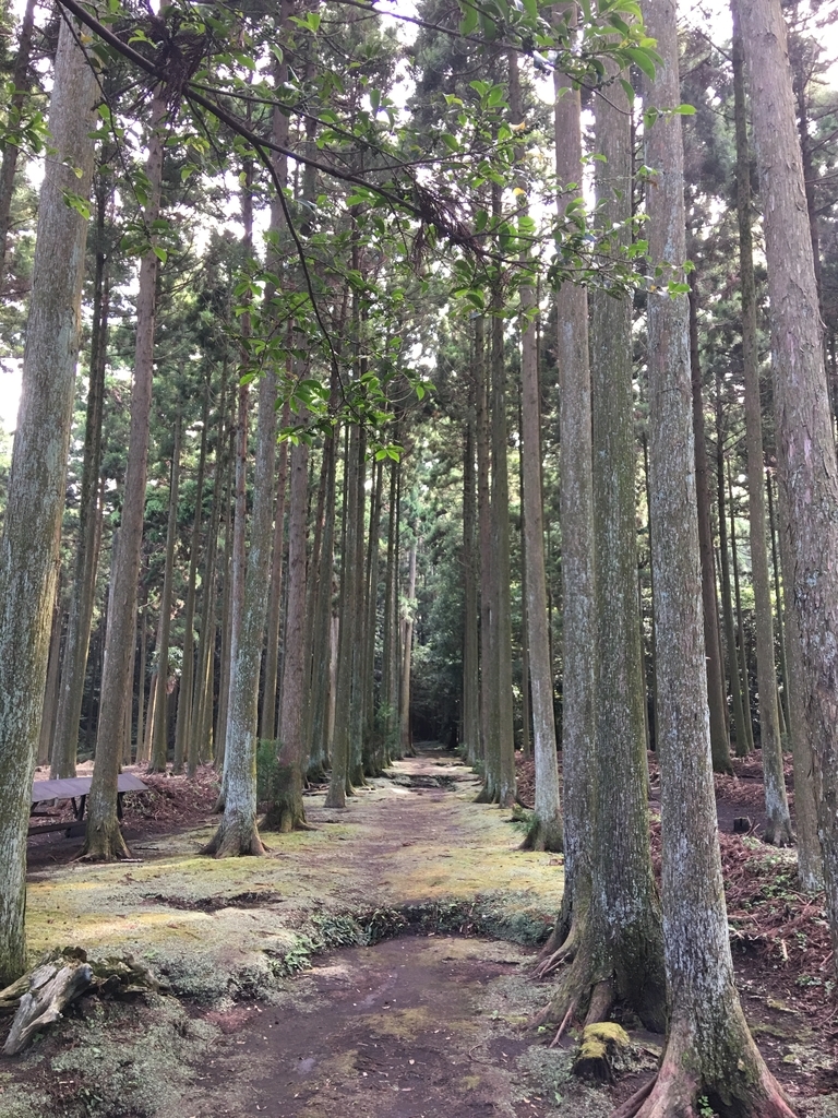 f:id:tomaatlas:20180926164814j:plain