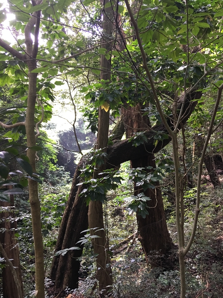 f:id:tomaatlas:20180926164836j:plain