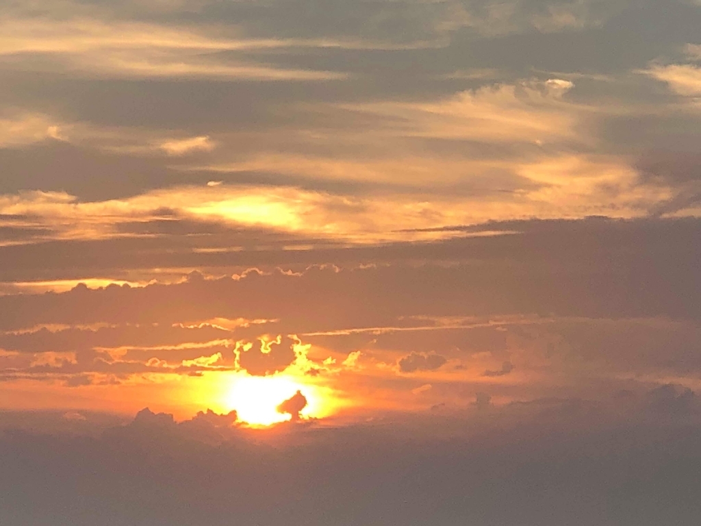 f:id:tomaatlas:20180926165404j:plain