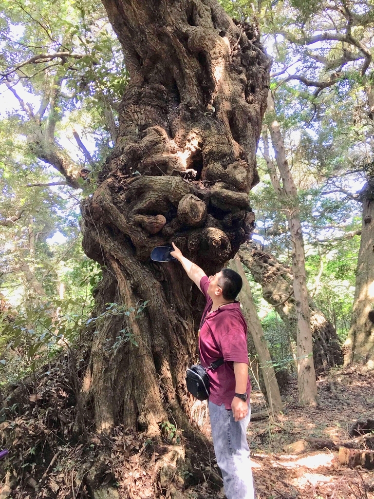 f:id:tomaatlas:20180926165726j:plain