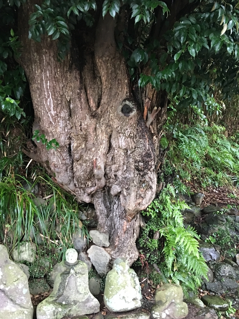 f:id:tomaatlas:20180930172431j:plain