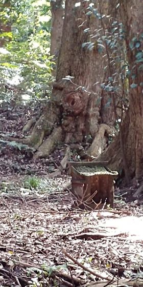 f:id:tomaatlas:20181004231845j:plain