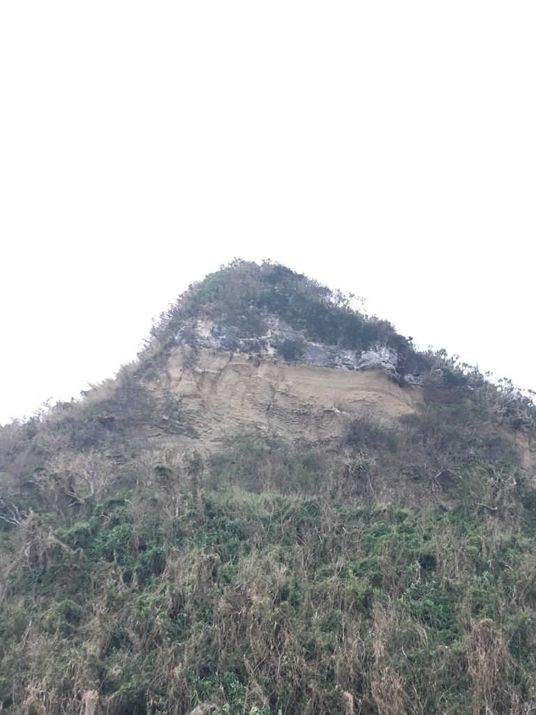f:id:tomaatlas:20181011125316j:plain f:id:tomaatlas:20181011125316j:plain