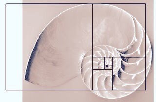 f:id:tomaatlas:20190102190441j:plain