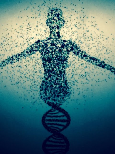 f:id:tomaatlas:20190123154505j:plain