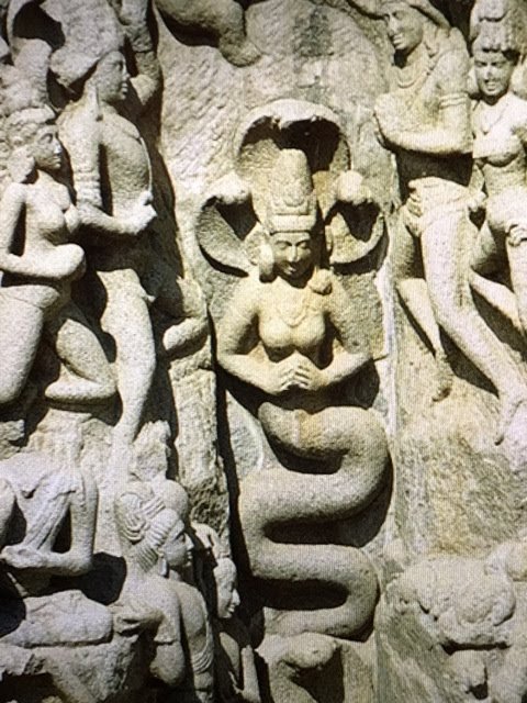 f:id:tomaatlas:20190123154520j:plain