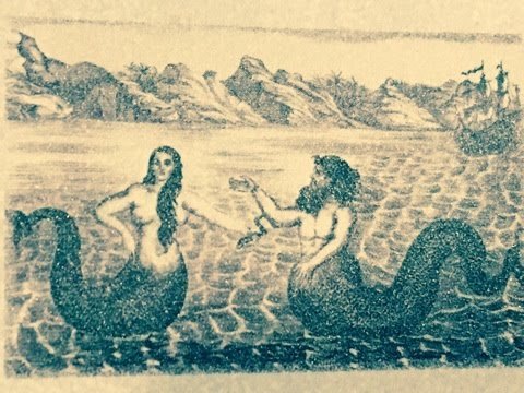 f:id:tomaatlas:20190123154958j:plain