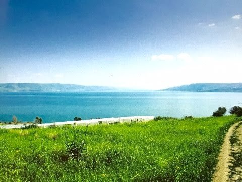 f:id:tomaatlas:20190123165425j:plain