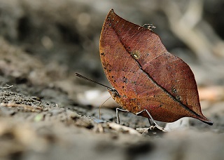 f:id:tomaatlas:20190213142013j:plain f:id:tomaatlas:20190213142013j:plain