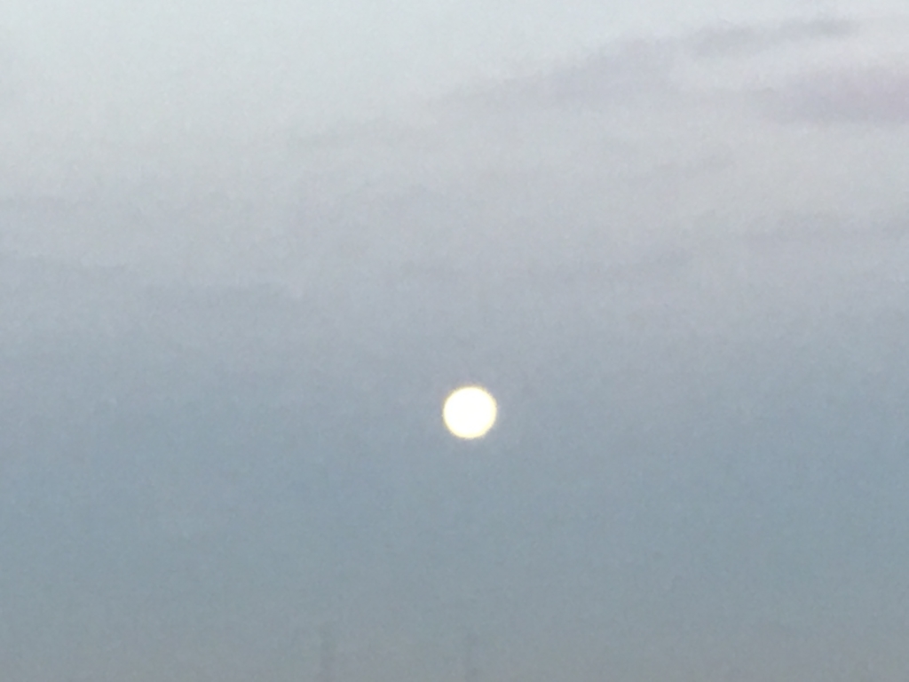 f:id:tomaatlas:20190220065016j:plain f:id:tomaatlas:20190220065016j:plain