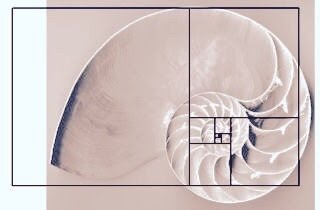 f:id:tomaatlas:20190220065101j:plain f:id:tomaatlas:20190220065101j:plain