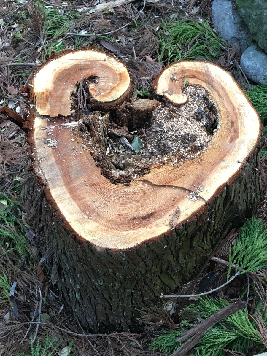 f:id:tomaatlas:20190320200253j:plain