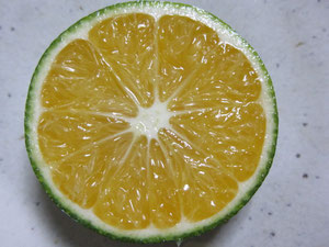 f:id:tomaatlas:20190416224853j:plain