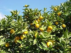 f:id:tomaatlas:20190416225004j:plain