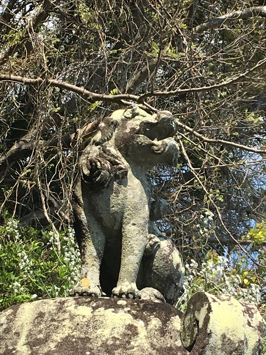 f:id:tomaatlas:20190417182549j:plain