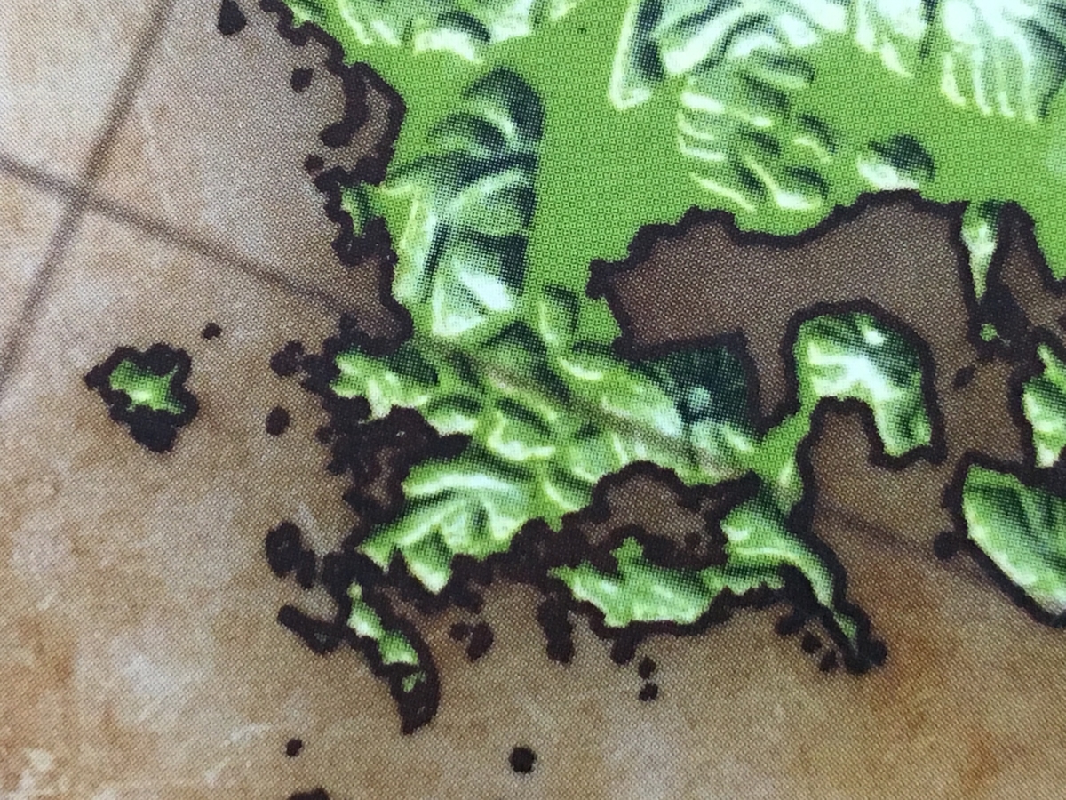 f:id:tomaatlas:20190501162714j:plain