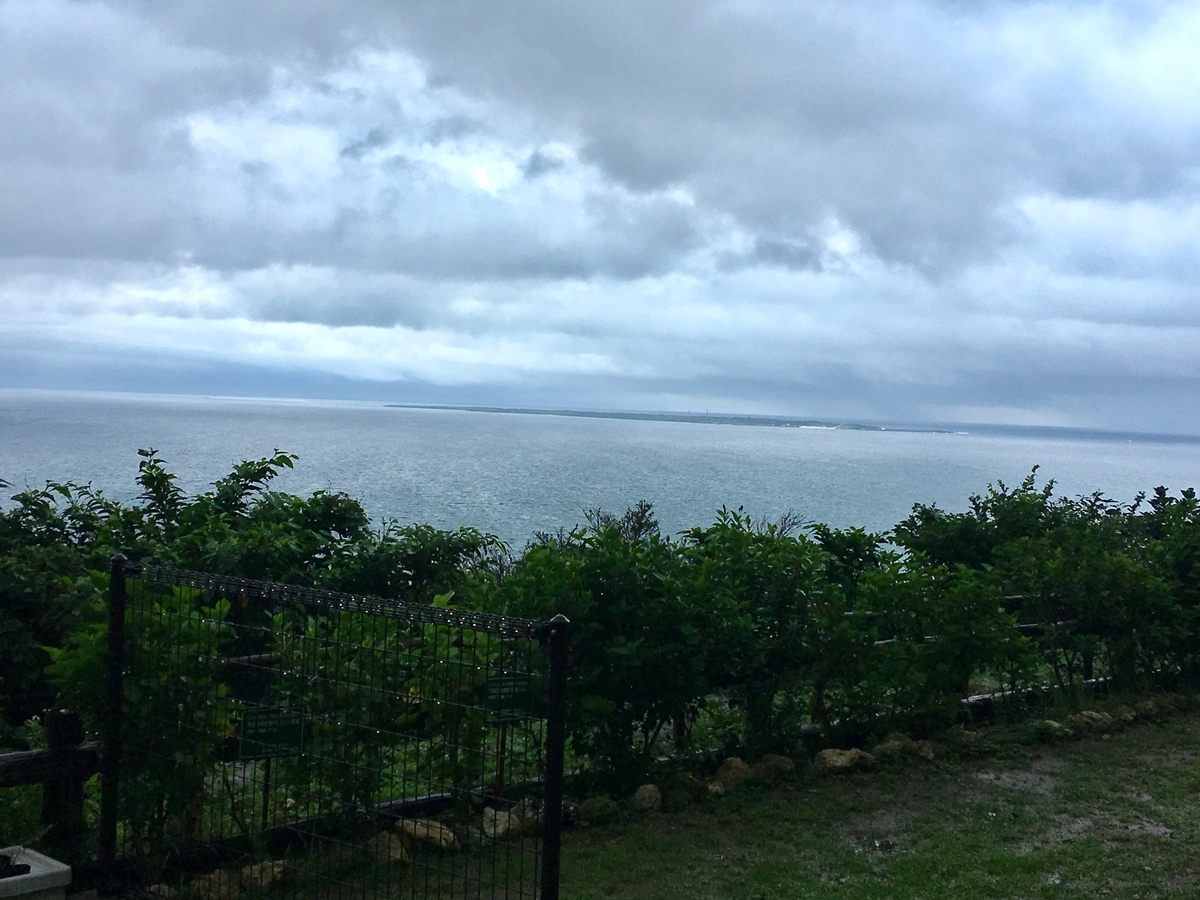 f:id:tomaatlas:20190614200216j:plain