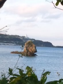 f:id:tomaatlas:20190628040216j:plain