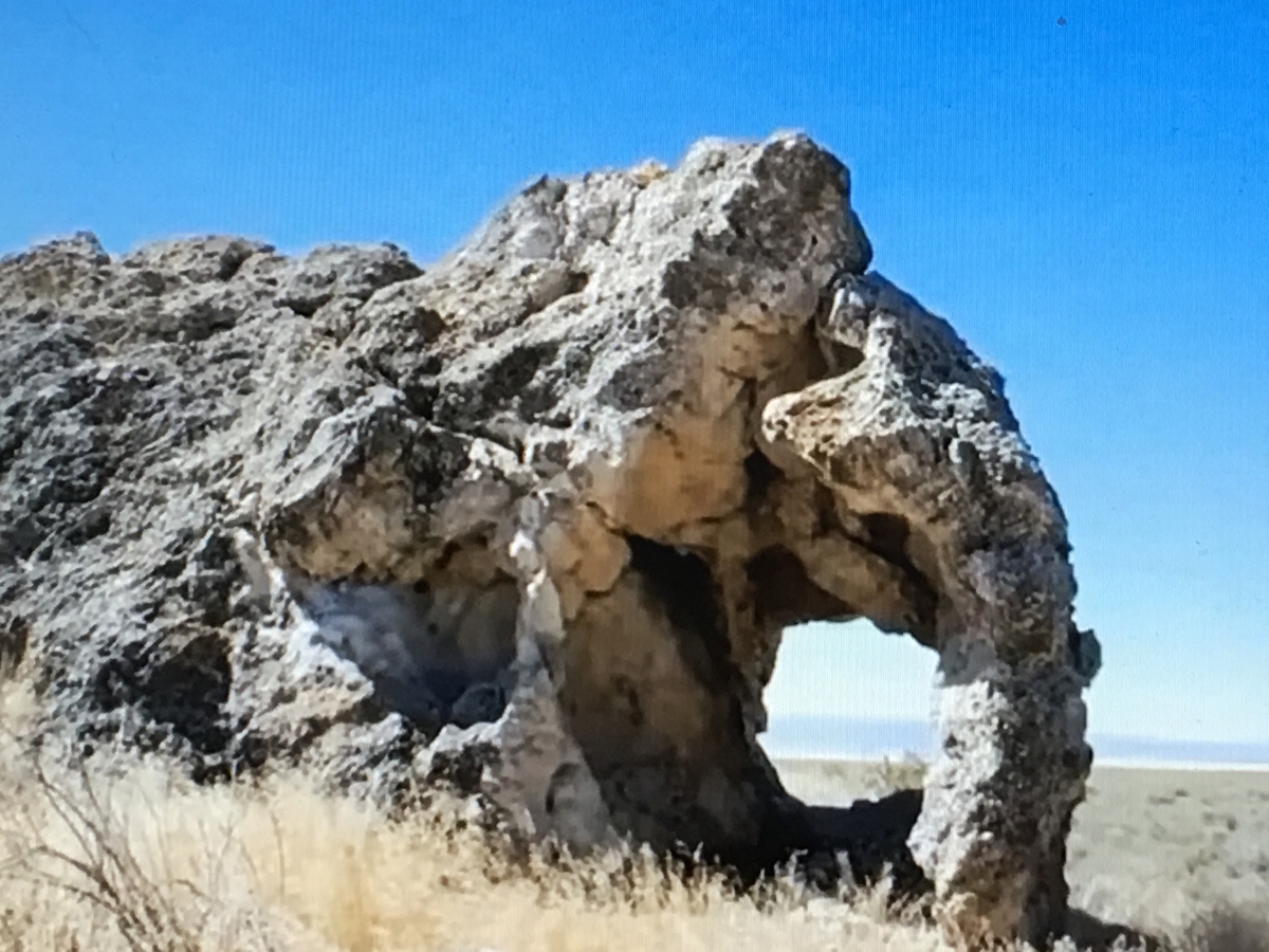 f:id:tomaatlas:20190628162053j:plain