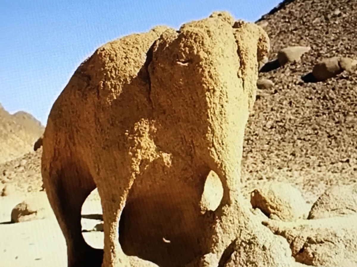 f:id:tomaatlas:20190628162114j:plain