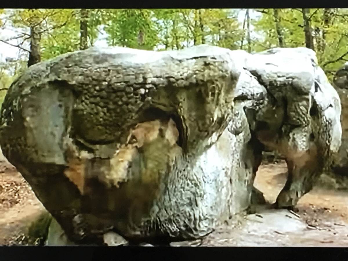 f:id:tomaatlas:20190628162140j:plain