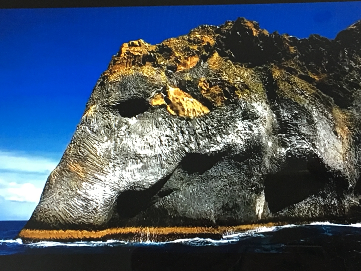 f:id:tomaatlas:20190628162229j:plain