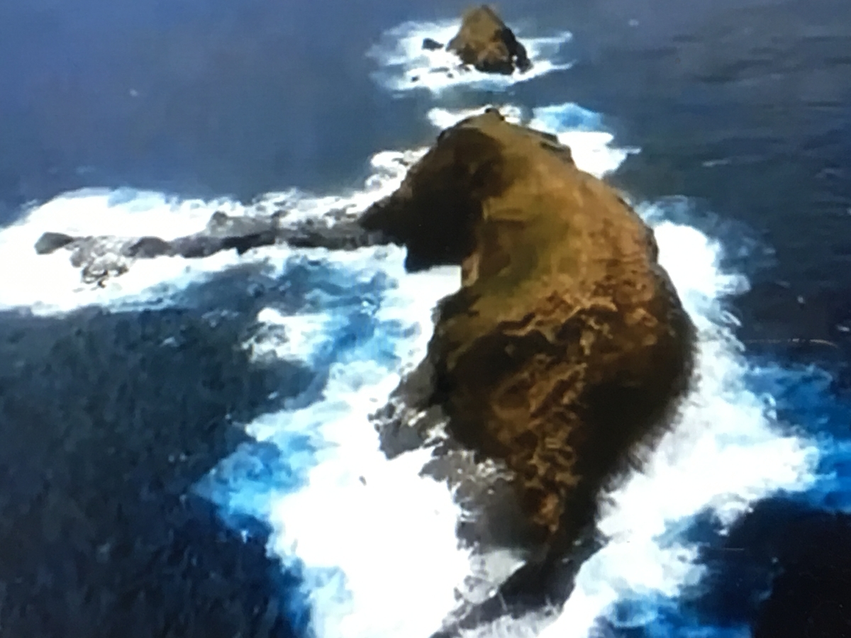 f:id:tomaatlas:20190628162336j:plain