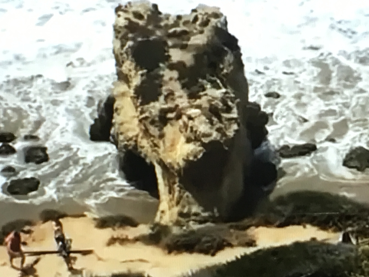 f:id:tomaatlas:20190628162649j:plain