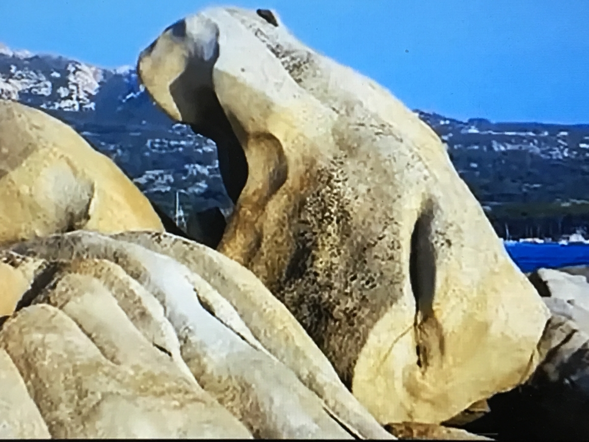 f:id:tomaatlas:20190628163053j:plain