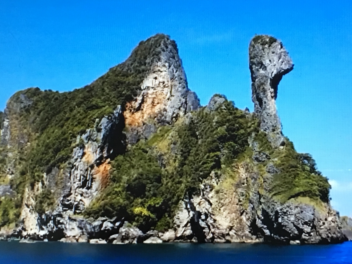 f:id:tomaatlas:20190628163113j:plain