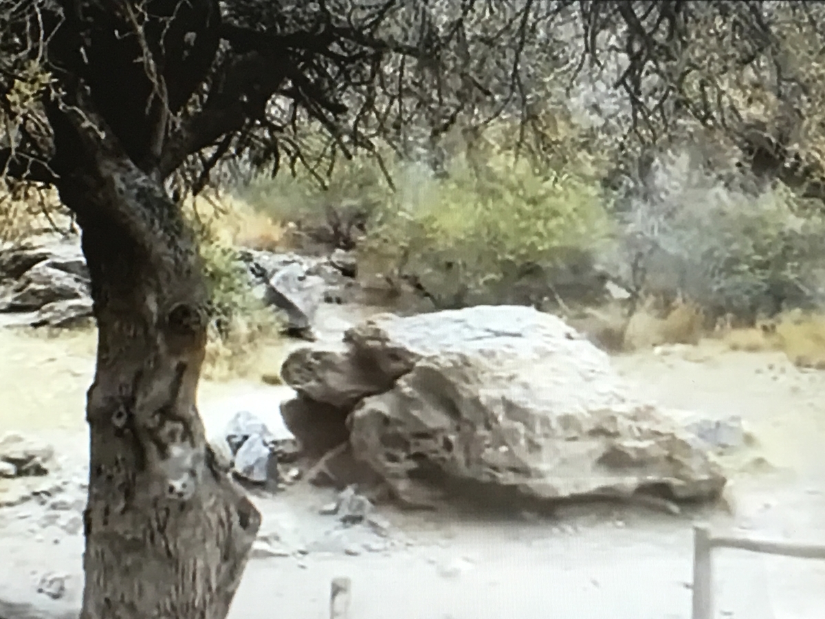 f:id:tomaatlas:20190628163225j:plain