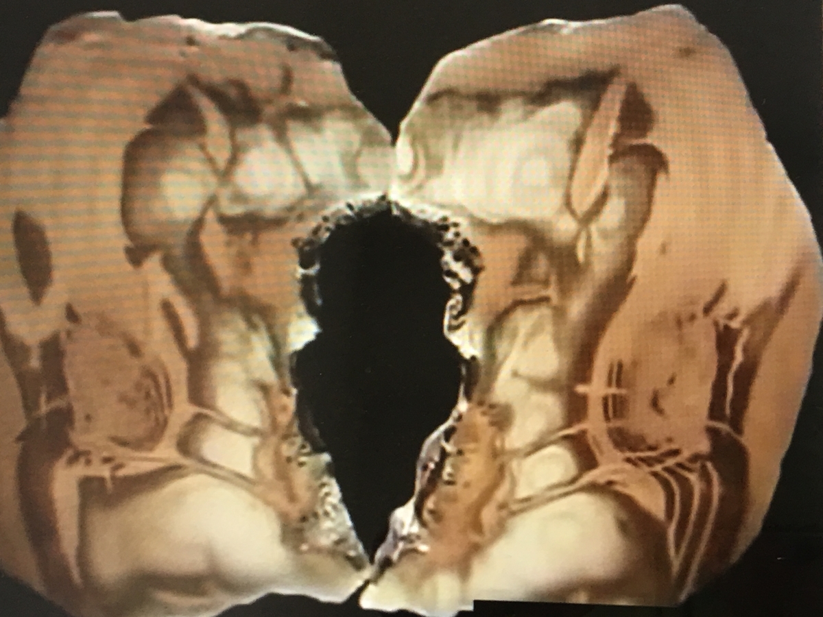 f:id:tomaatlas:20190628163344j:plain