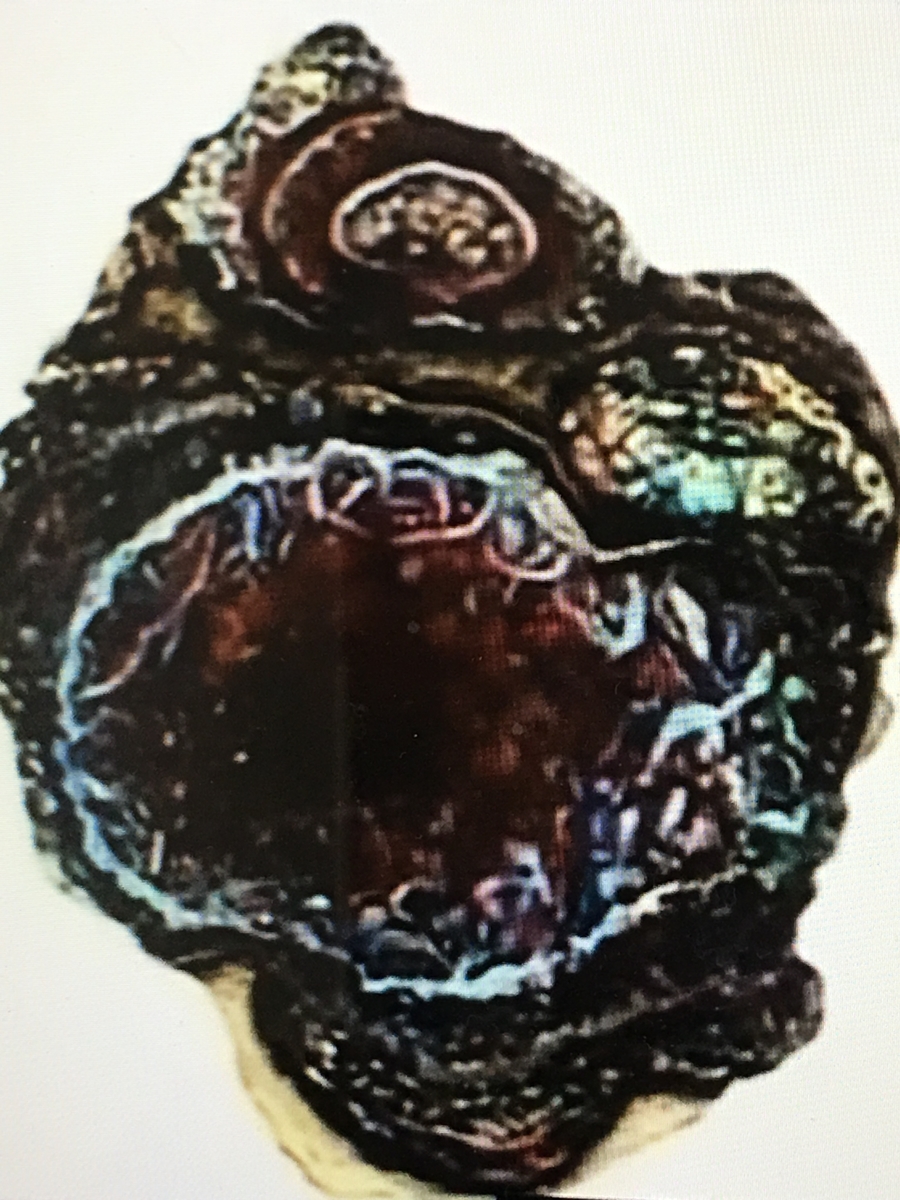 f:id:tomaatlas:20190628163445j:plain